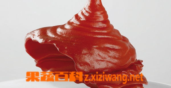 果蔬百科番茄酱
