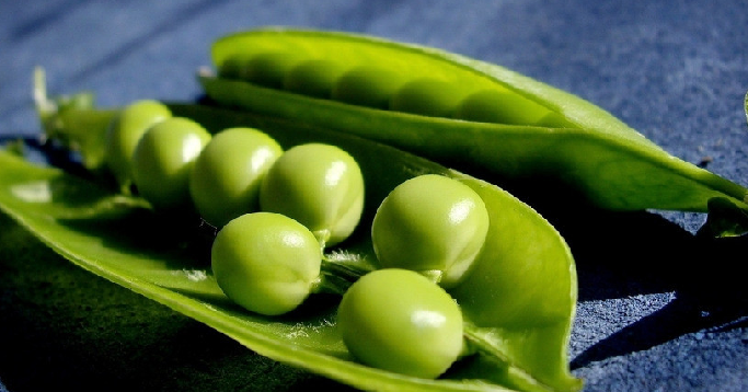 果蔬百科豌豆