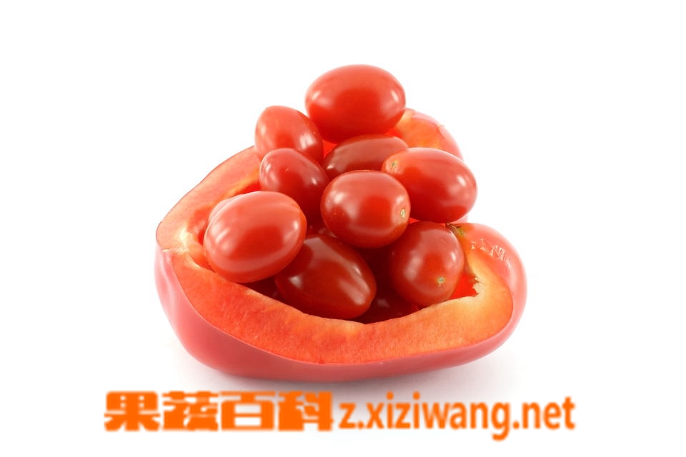 果蔬百科蕃茄