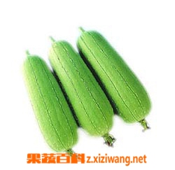 果蔬百科丝瓜