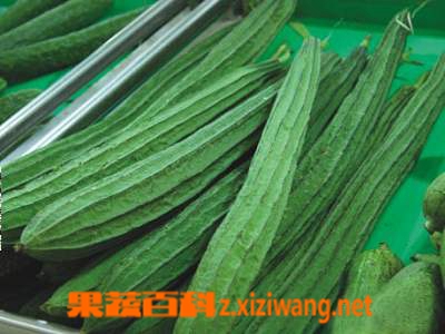 果蔬百科丝瓜