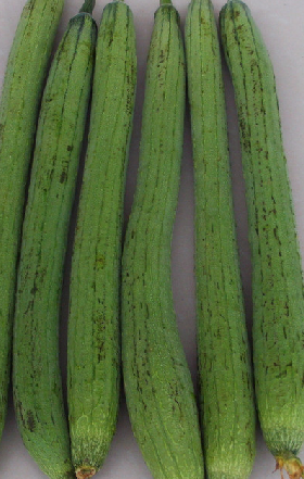 果蔬百科丝瓜