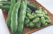 果蔬百科蚕豆