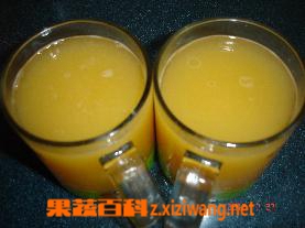 果蔬百科木瓜果汁