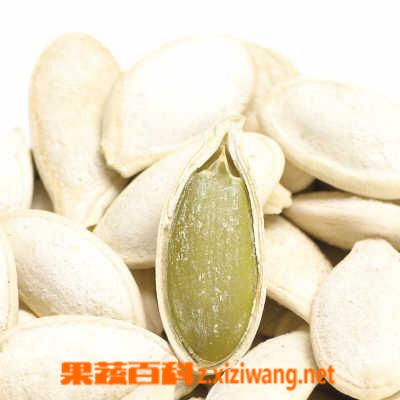 果蔬百科南瓜子