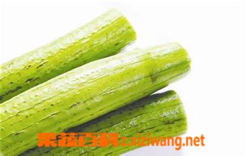 果蔬百科丝瓜