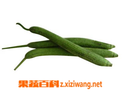 果蔬百科丝瓜