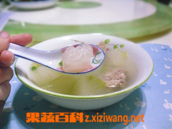 果蔬百科冬瓜排骨汤