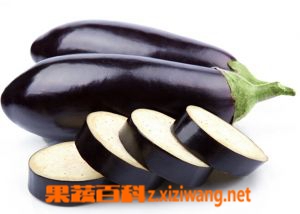 果蔬百科茄子