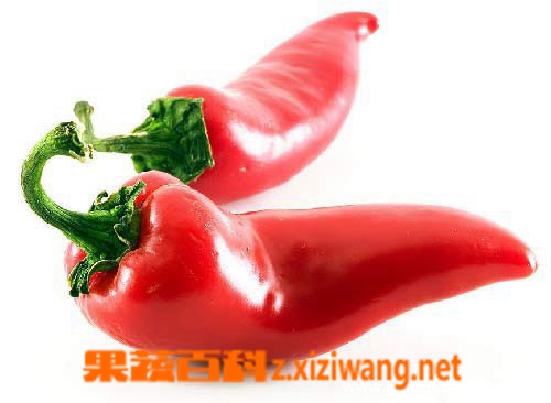 果蔬百科红辣椒