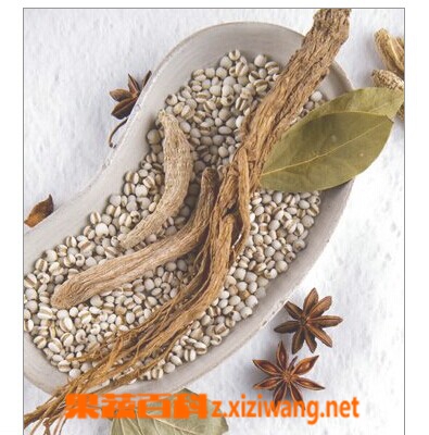 果蔬百科杜仲