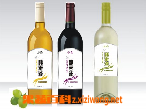 果蔬百科酵素的作用与吃法