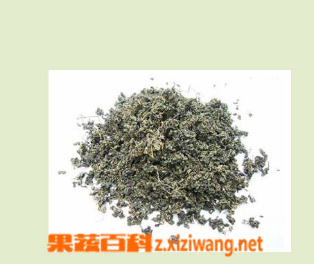 果蔬百科绞股蓝