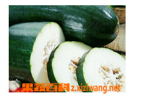 果蔬百科冬瓜
