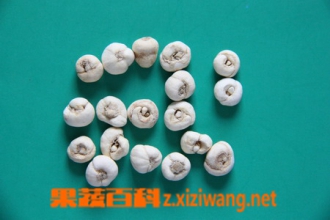 平贝母的功效与药用作用