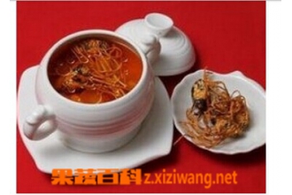 蛹虫草图片和功效 蛹虫草怎么吃