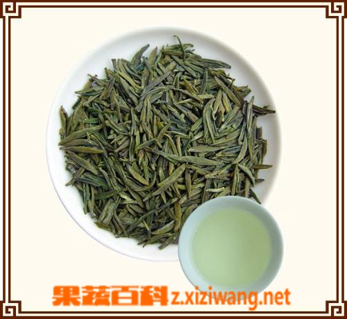 果蔬百科苦茶