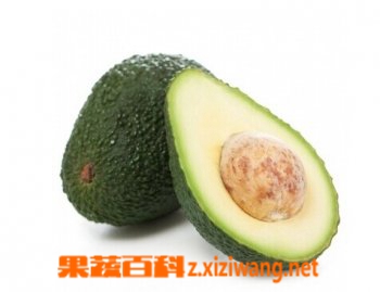 果蔬百科牛油果