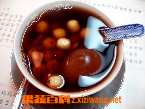 果蔬百科桑寄生茶图片和做法