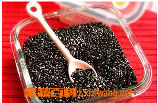 果蔬百科黑米