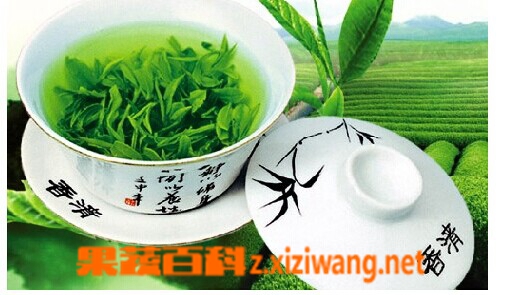 果蔬百科绿茶