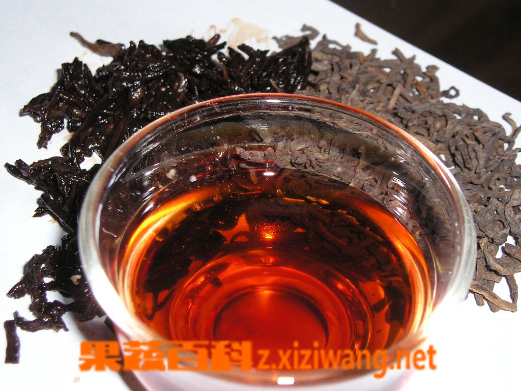 果蔬百科在办公室怎么喝普洱茶