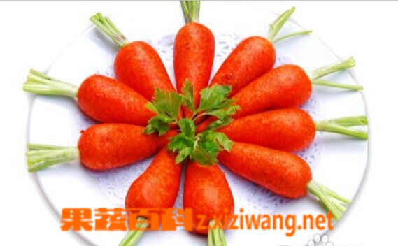 果蔬百科 对眼睛有好处的食物有哪些