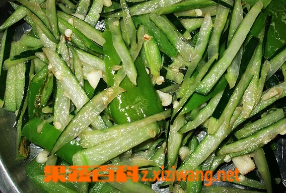 果蔬百科冬瓜皮