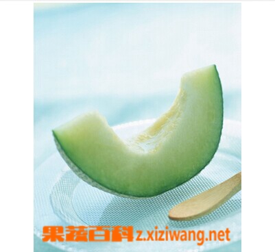 果蔬百科冬瓜皮泡水喝