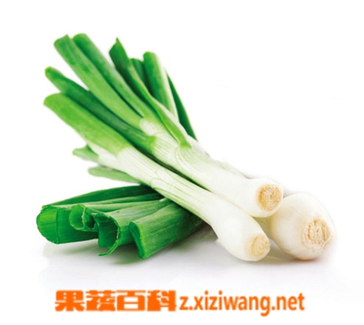 果蔬百科五叶齐