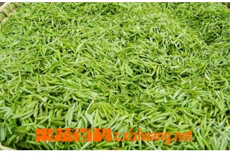 信阳毛尖茶叶怎么喝好 喝信阳毛尖的好处有哪些