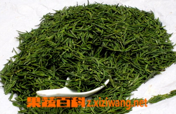 果蔬百科绿茶