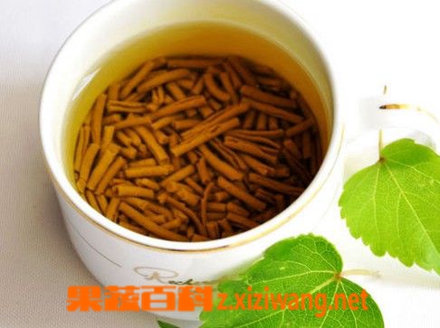 果蔬百科苦荞茶