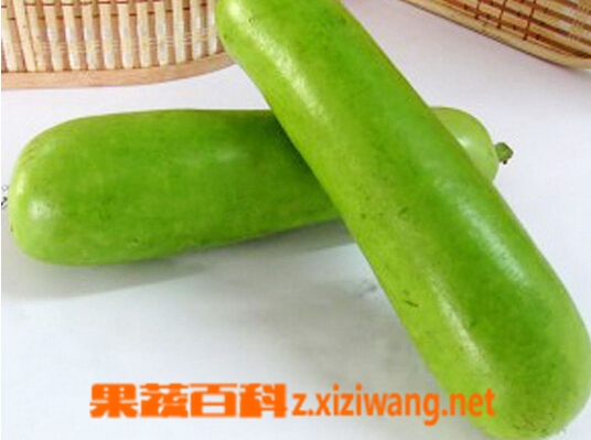 果蔬百科瓠瓜