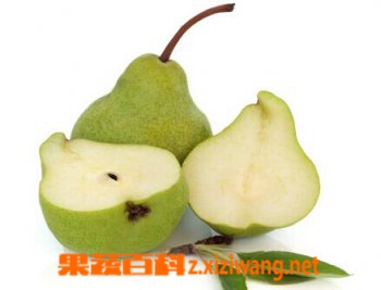 果蔬百科食物