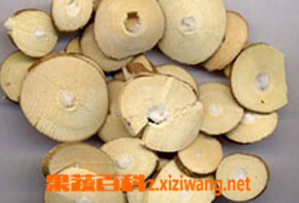 果蔬百科老桑枝