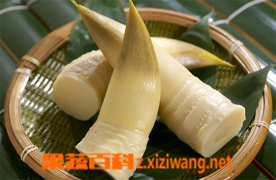 果蔬百科竹笋