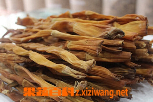 果蔬百科干竹笋