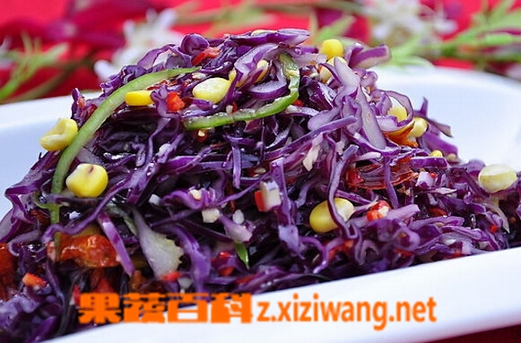果蔬百科紫包菜
