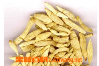 麦冬功效和作用 麦冬的用处