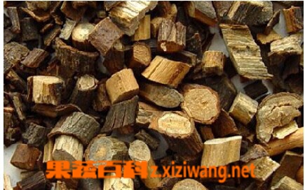 果蔬百科桂枝