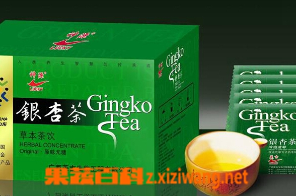 果蔬百科银杏茶