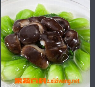 果蔬百科香菇菜心