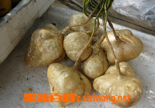 果蔬百科白地瓜的作用与副作用