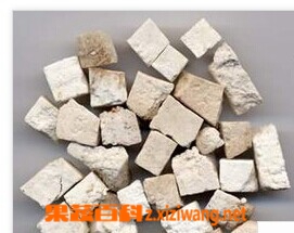 果蔬百科茯神的功效与作用