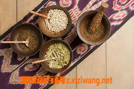 果蔬百科补肾