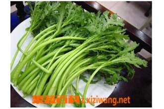 皇帝菜图片 皇帝菜的做法