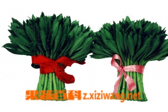 养心菜的功效和作用