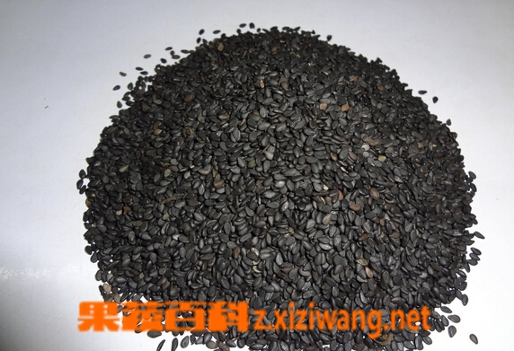 果蔬百科黑芝麻