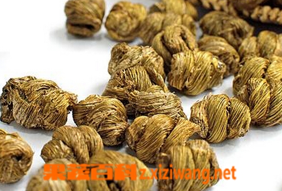 果蔬百科铁皮枫斗